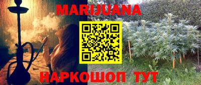 mdpv Краснознаменск