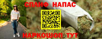 mdpv Краснознаменск